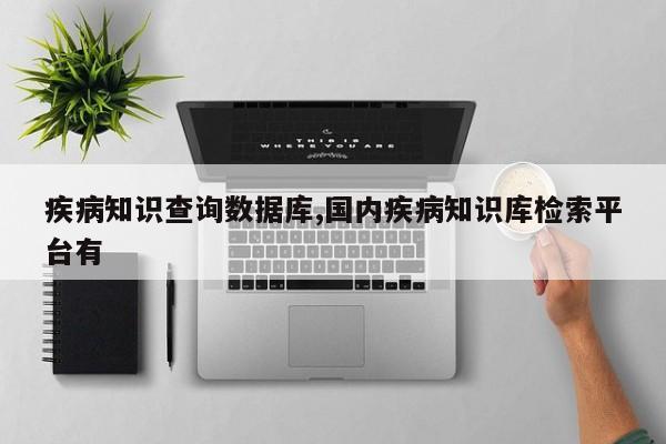疾病知识查询数据库,国内疾病知识库检索平台有